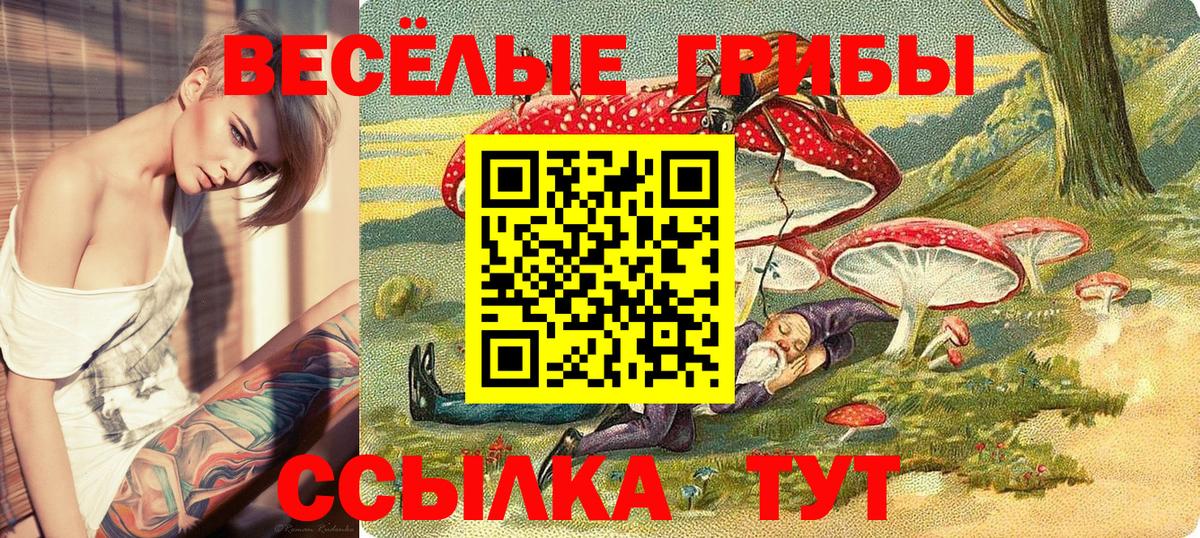 Псилоцибиновые грибы Magic Shrooms Златоуст