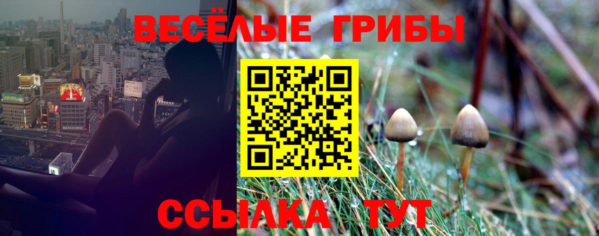 Галлюциногенные грибы мухоморы  где купить   Златоуст  Вход с VPN 