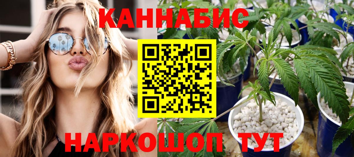 Шишки марихуана сатива Златоуст